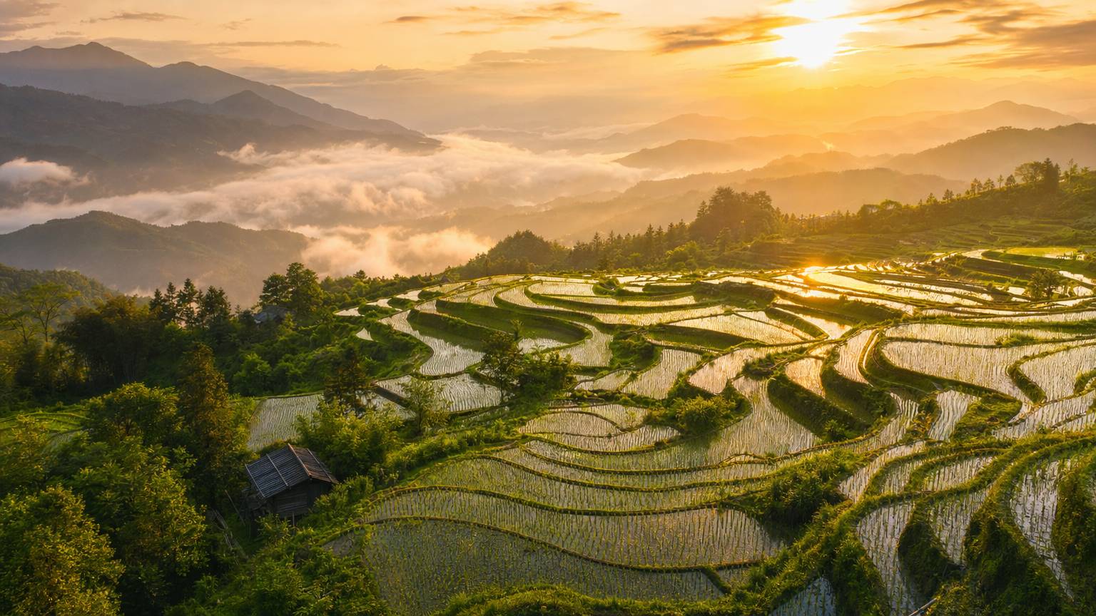 平台旅行mv热播