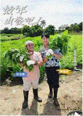 adc影院明星大侦探